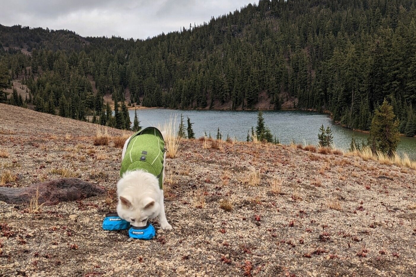 When backpacking, we pack along Ruffwear’s ultralight and compact Trail Runner Bowls