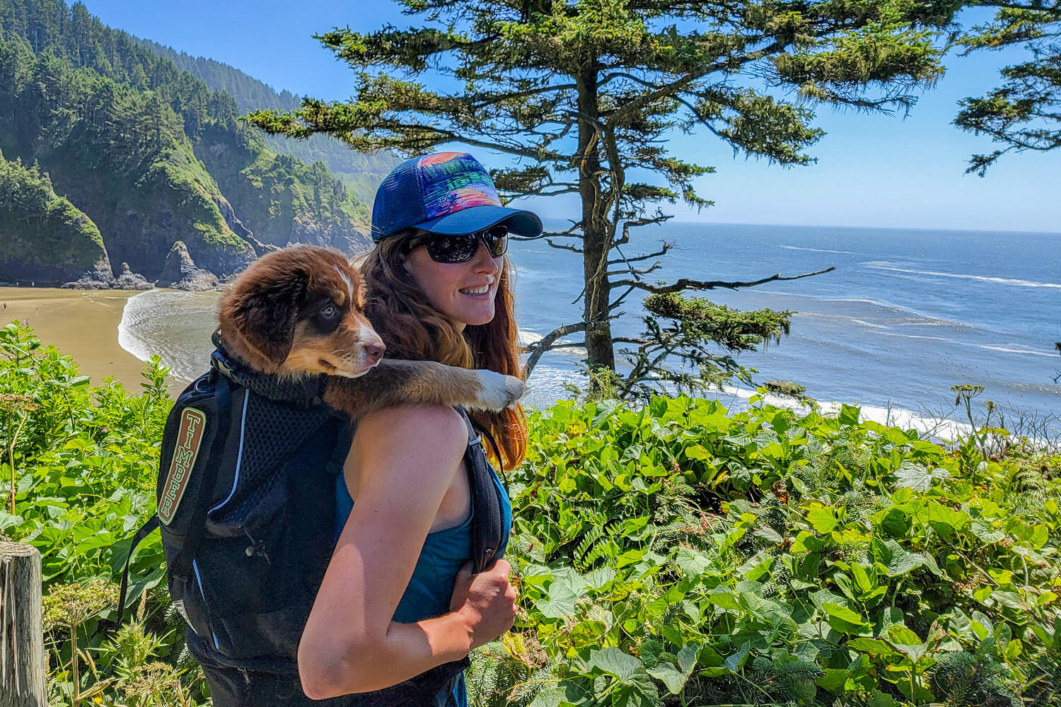 Dog carrying backpacks, like the K9 Sport Sack, are a great way to tote young puppies along on your adventures