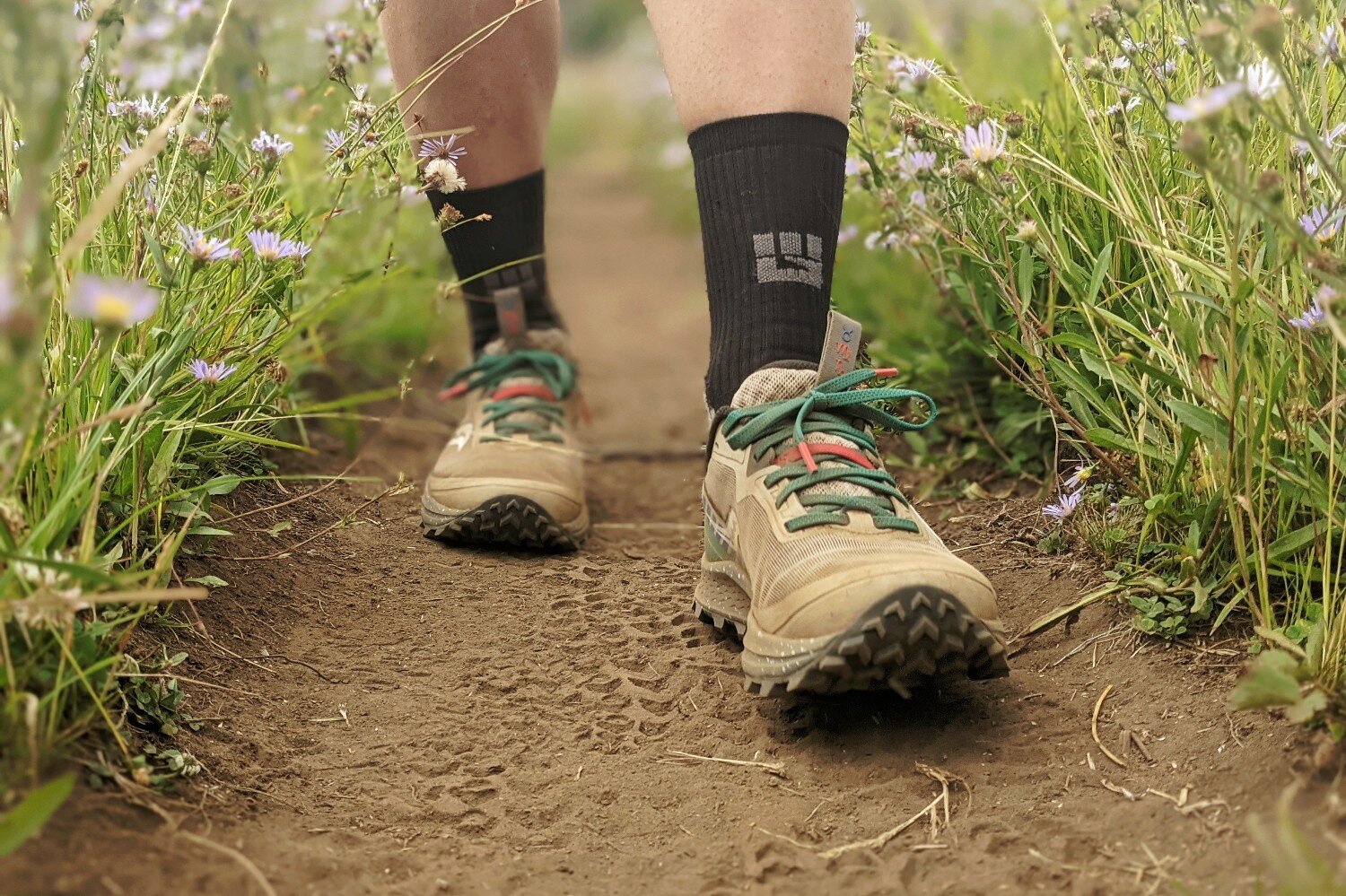 travel hiking shoes