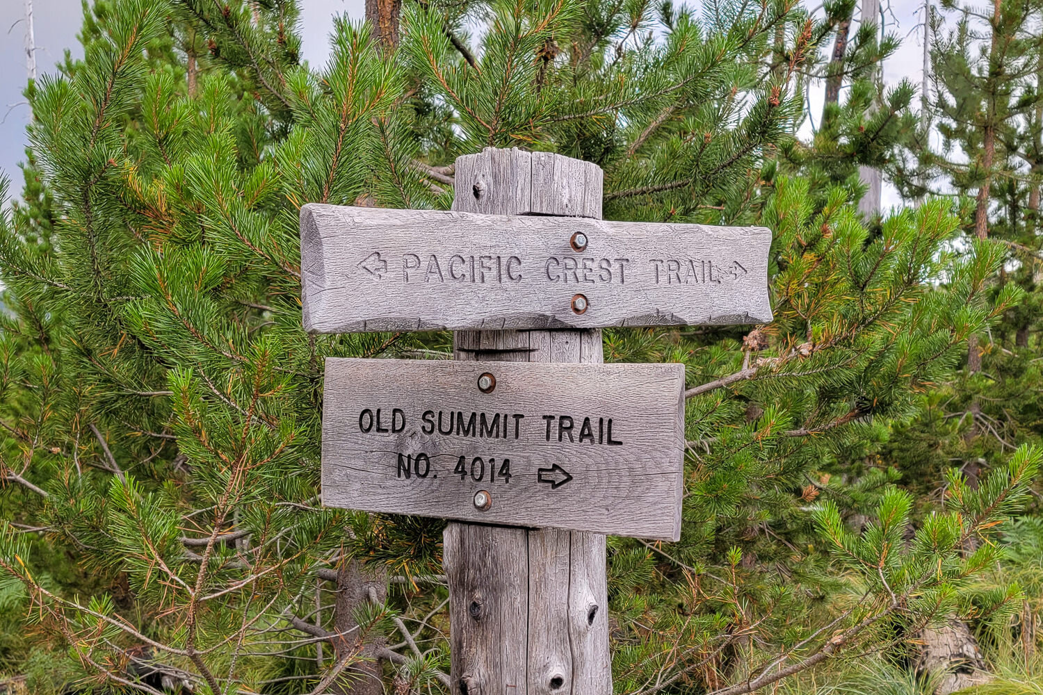 The most dramatic views are along the PCT, but we also enjoyed views of Mt. Washington & many lakes along the east leg