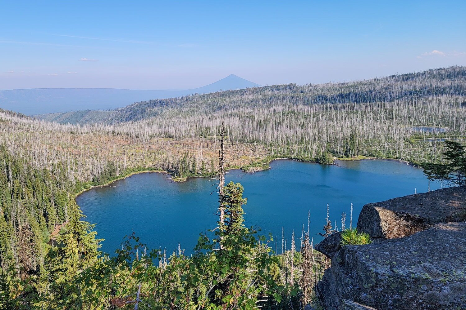 There’s no shortage of views on the Three Fingered Jack Loop - this view is of Wasco Lake from Minto Pass