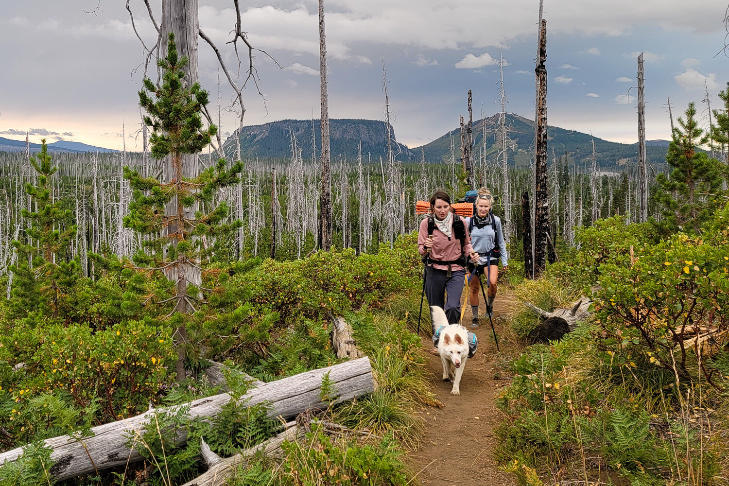 Trip - Three Fingered Jack Loop 2021-007.jpg