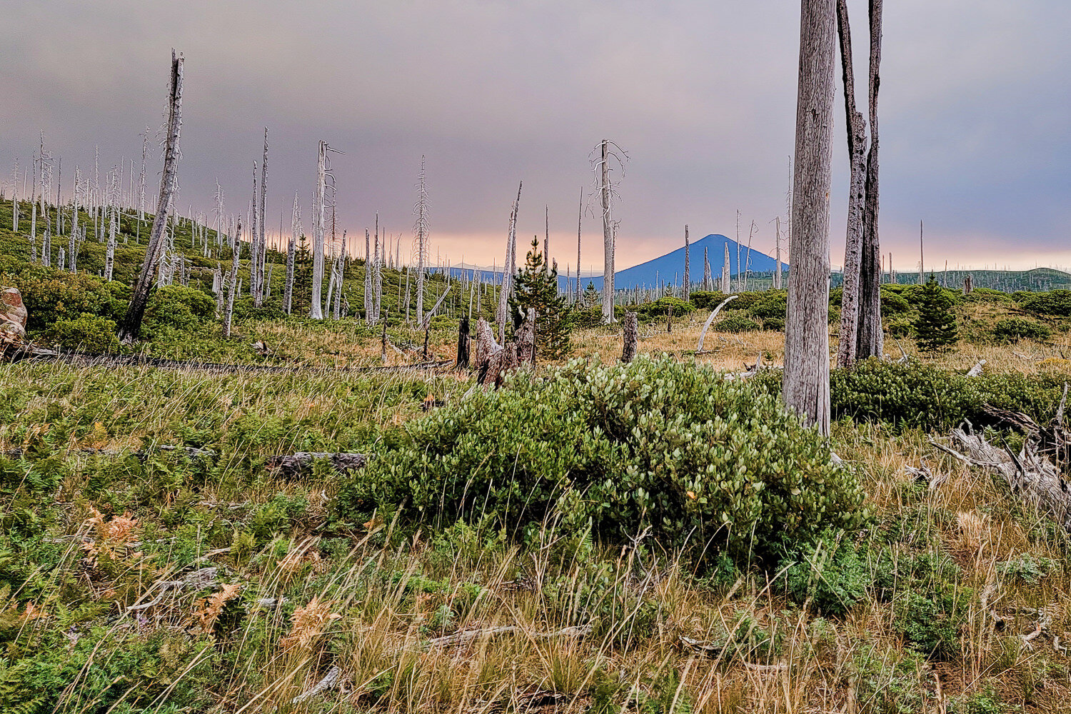 Trip - Three Fingered Jack Loop 2021-024.jpg