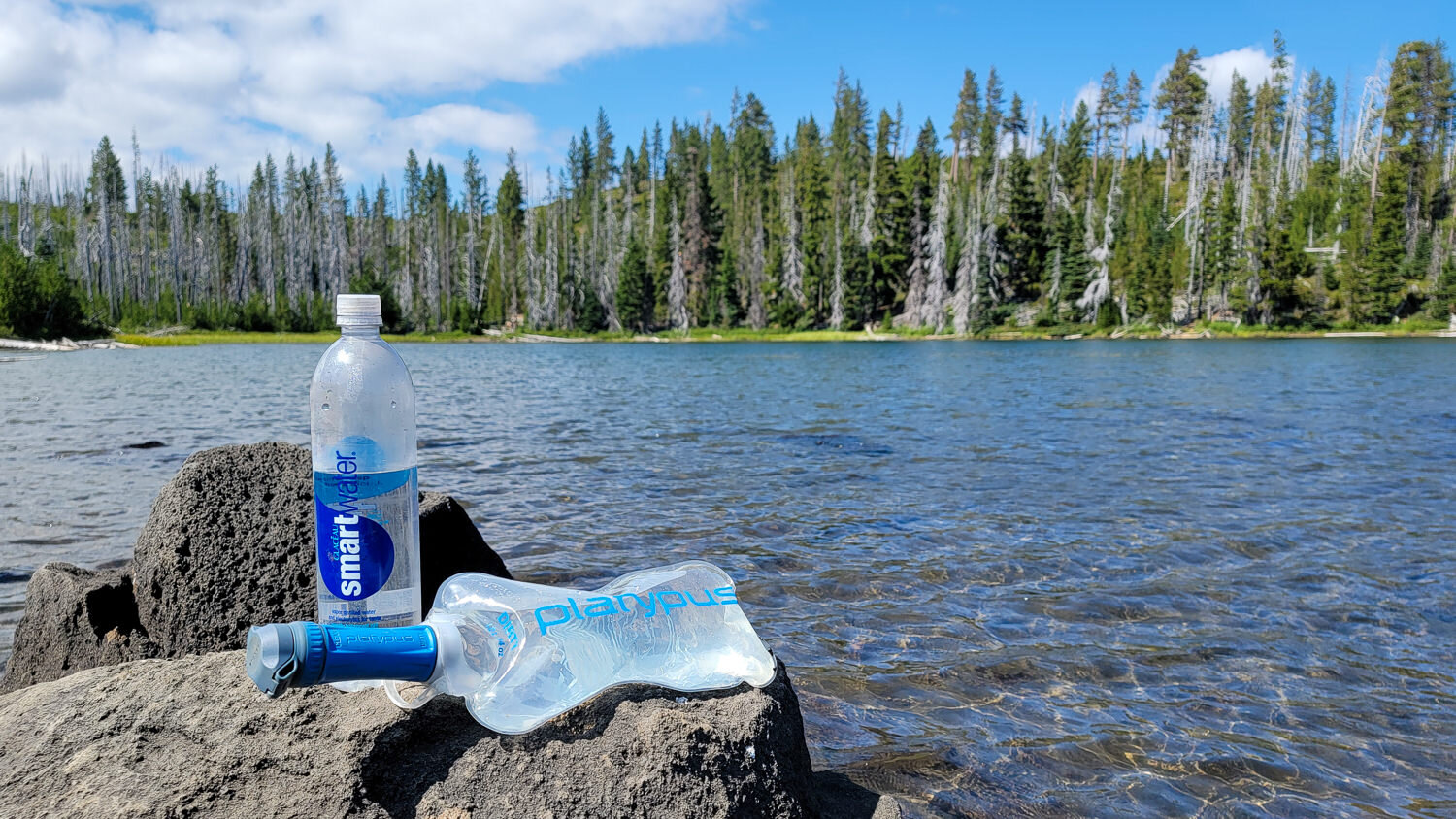 The Platypus QuickDraw Microfilter System & Smartwater bottles are convenient for filtering water from lakes