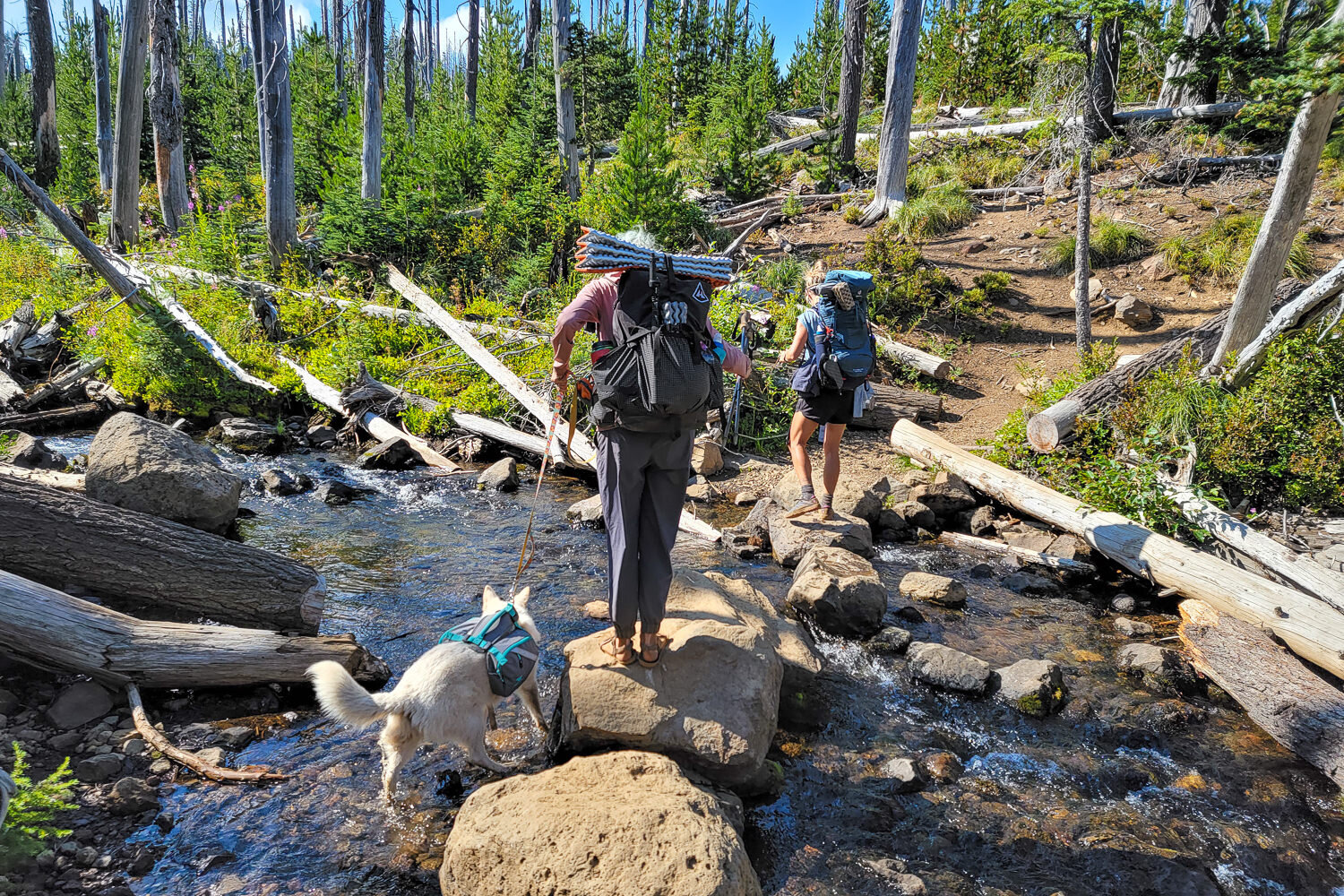 Trip - Three Fingered Jack Loop 2021-074.jpg