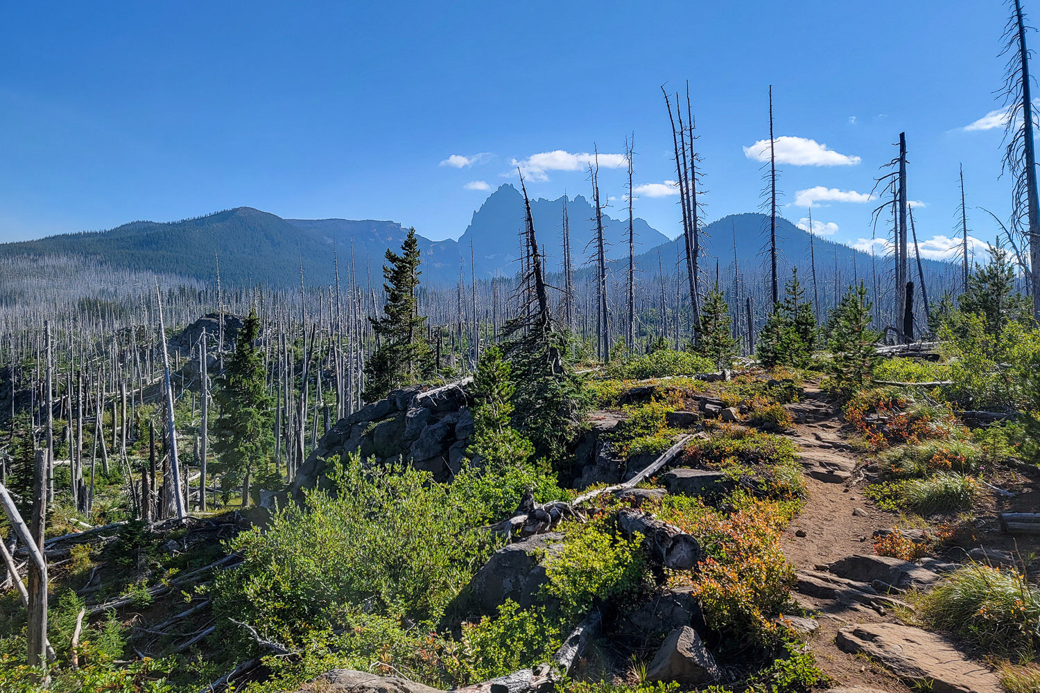 Trip - Three Fingered Jack Loop 2021-078.jpg