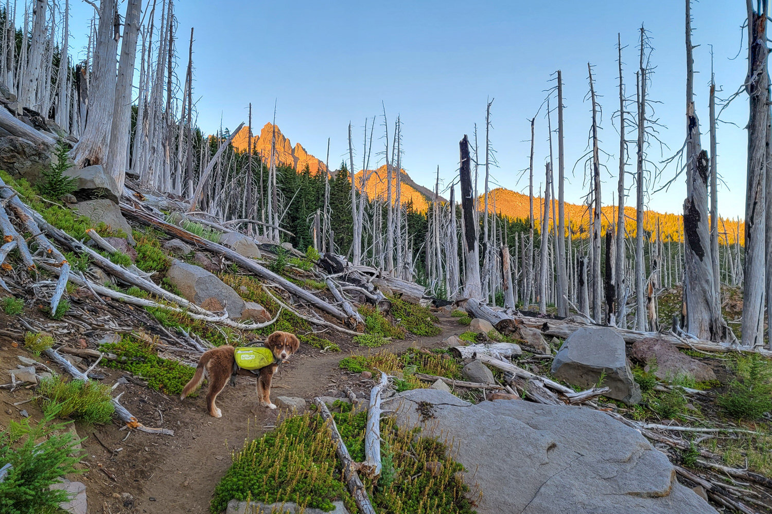 Trip - Three Fingered Jack Loop 2021-086.jpg