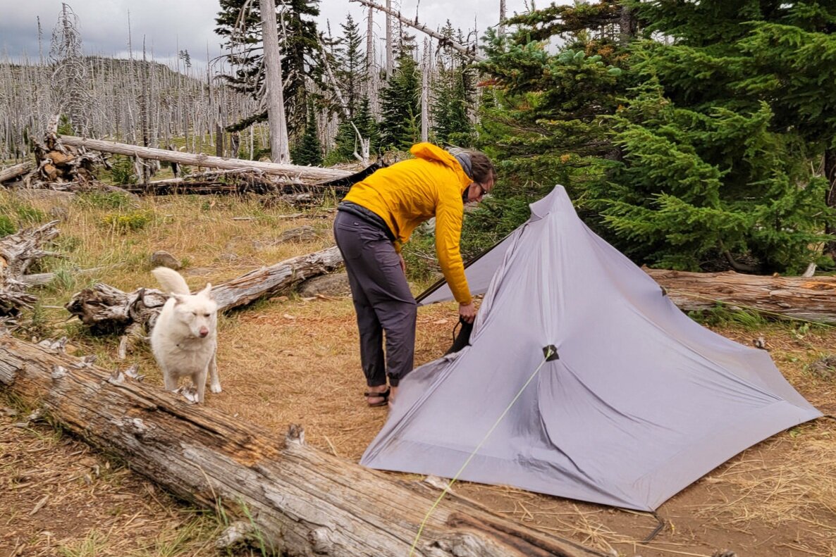 Non-freestanding tents can be challenging to set up in some conditions - like high wind