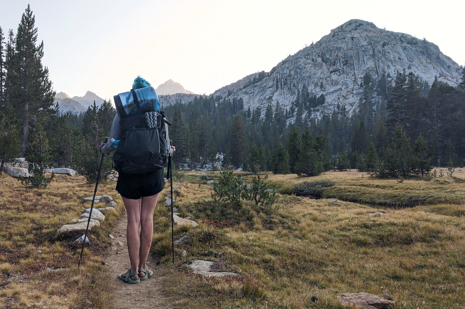 A hiker holding the Gossamer Gear LT5 trekking poles looking at a mountain in the distance