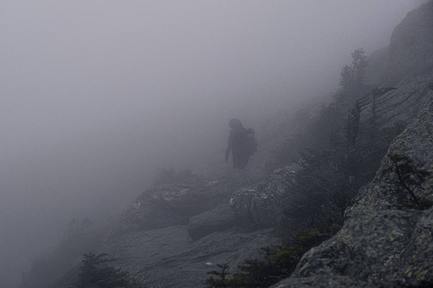 A very foggy scene with a Long Trail hiker on the Long Trail
