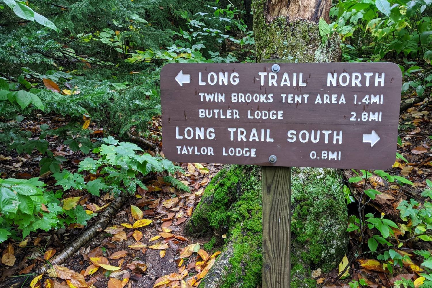 A sign marking Long Trail North and Long Trail South