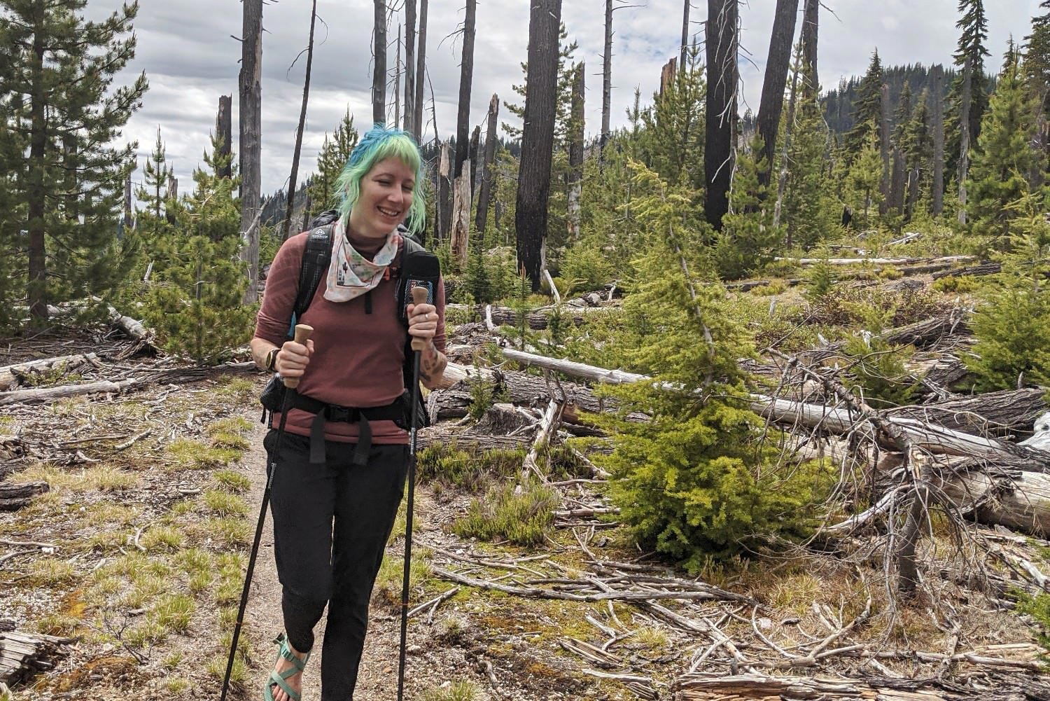 A hiker on a trail with the Gossamer Gear LT5 trekking poles