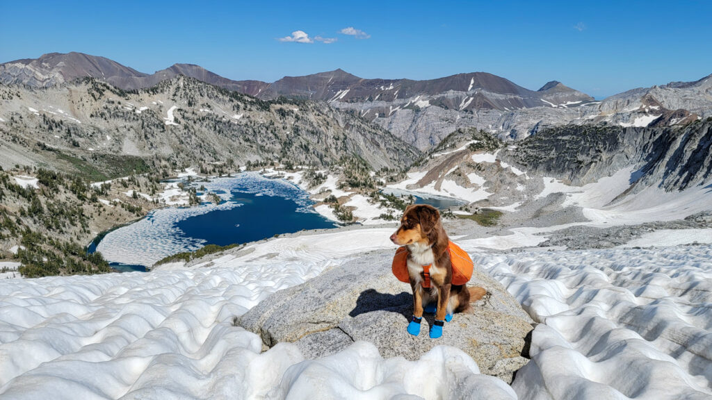 A dog wearing the Ruffwear Approach backpack in front of a snowy lake and marbled mountain peaks