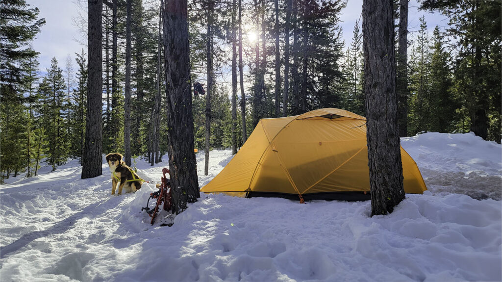 The NEMO Kunai 3P four-season tent in a snowy winter camping scene in the woods
