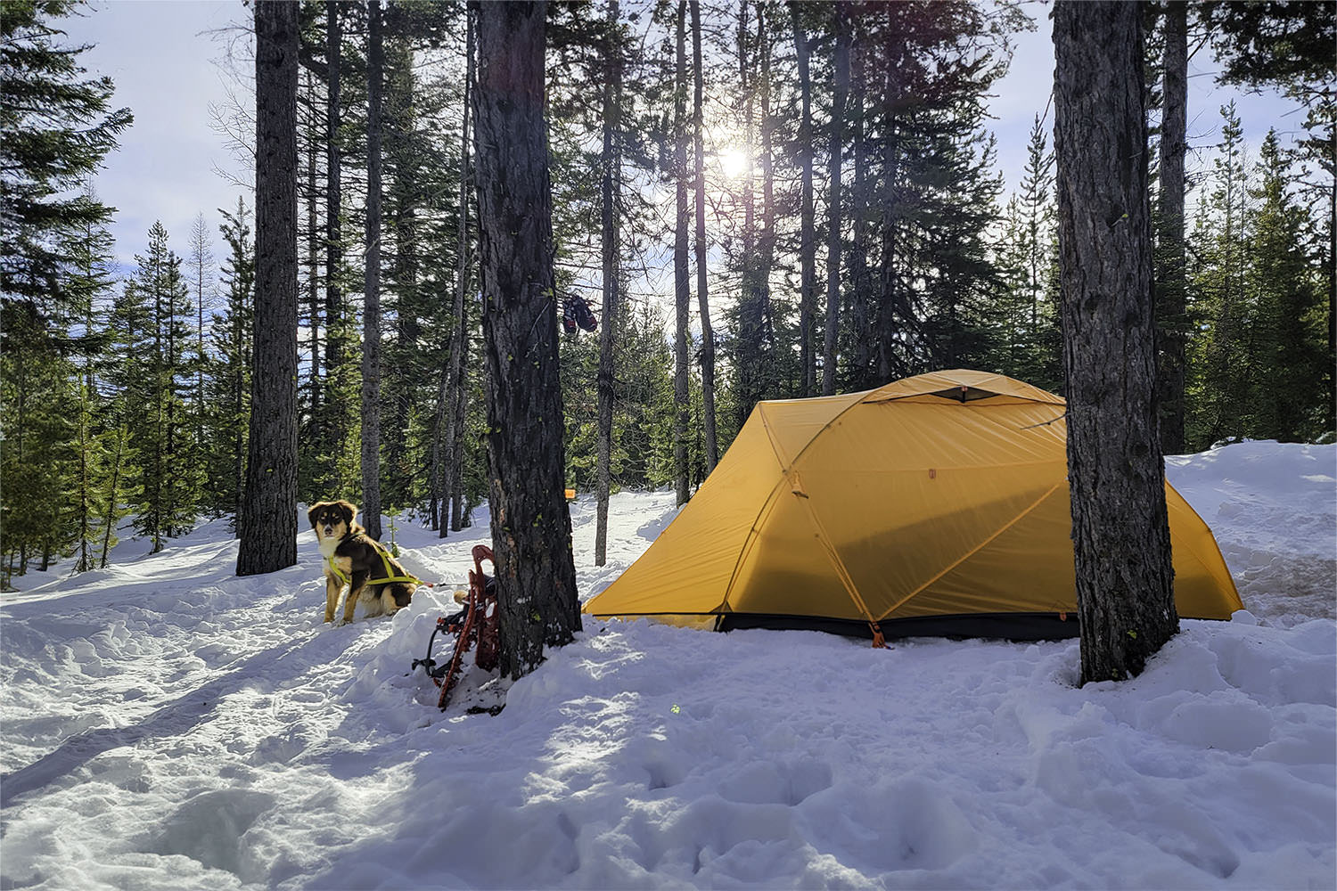 The NEMO Kunai 3P four-season tent in a snowy winter camping scene in the woods
