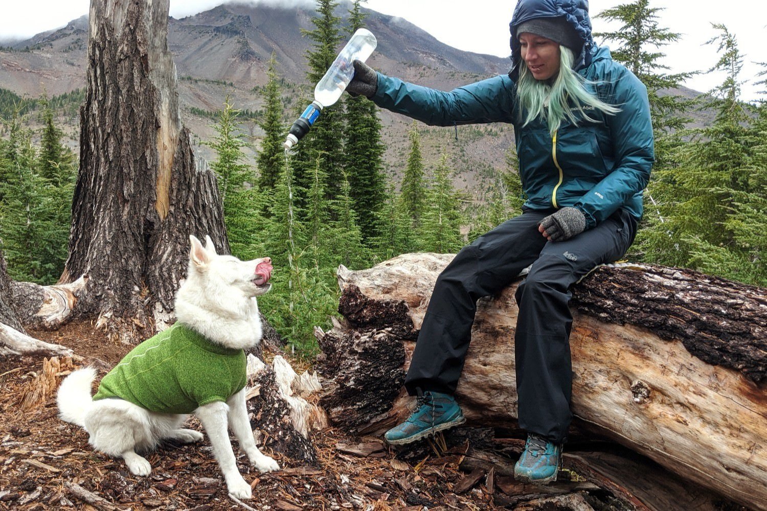 A hiker giver her dog a drink of water from a water bottle