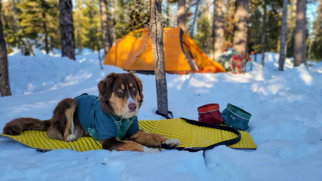 travel in snow shoes