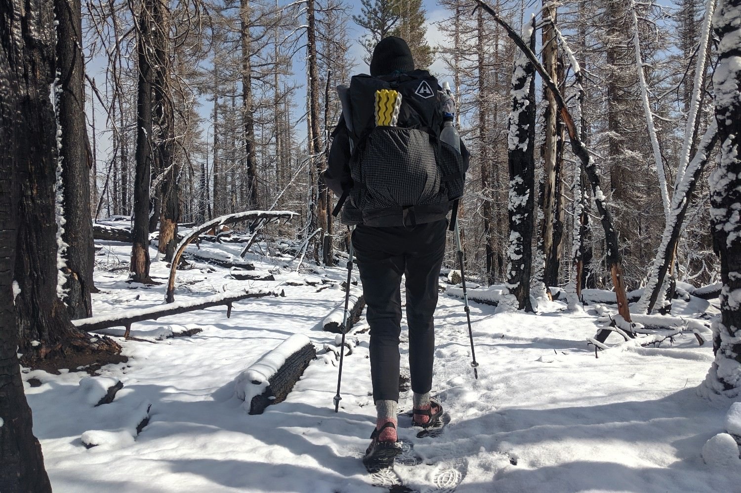 A hiker hiking on a snowy trail with the Black Diamond Trail Ergo Cork trekking poles