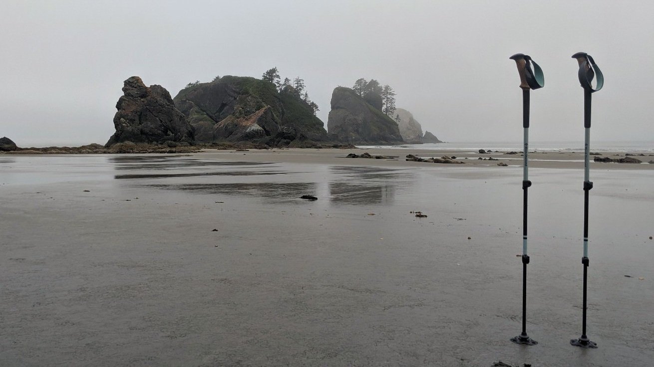 Black Diamond Trail Ergo trekking poles sticking up out of the ground on a beach