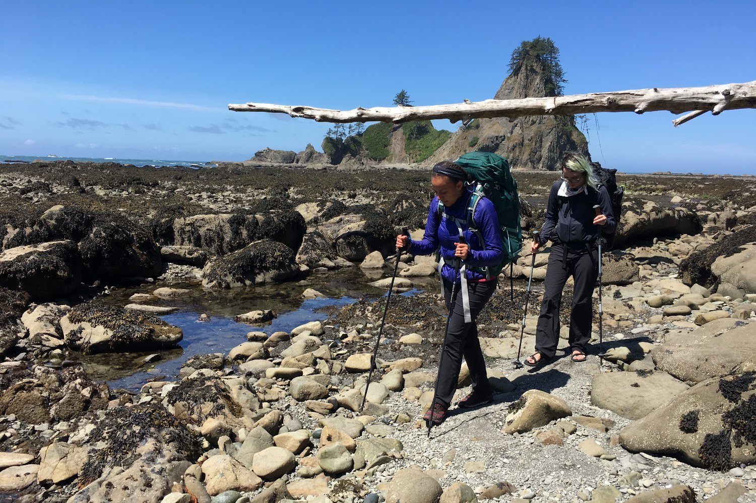 Two hikers hiking with trekking poles on a rocky trail