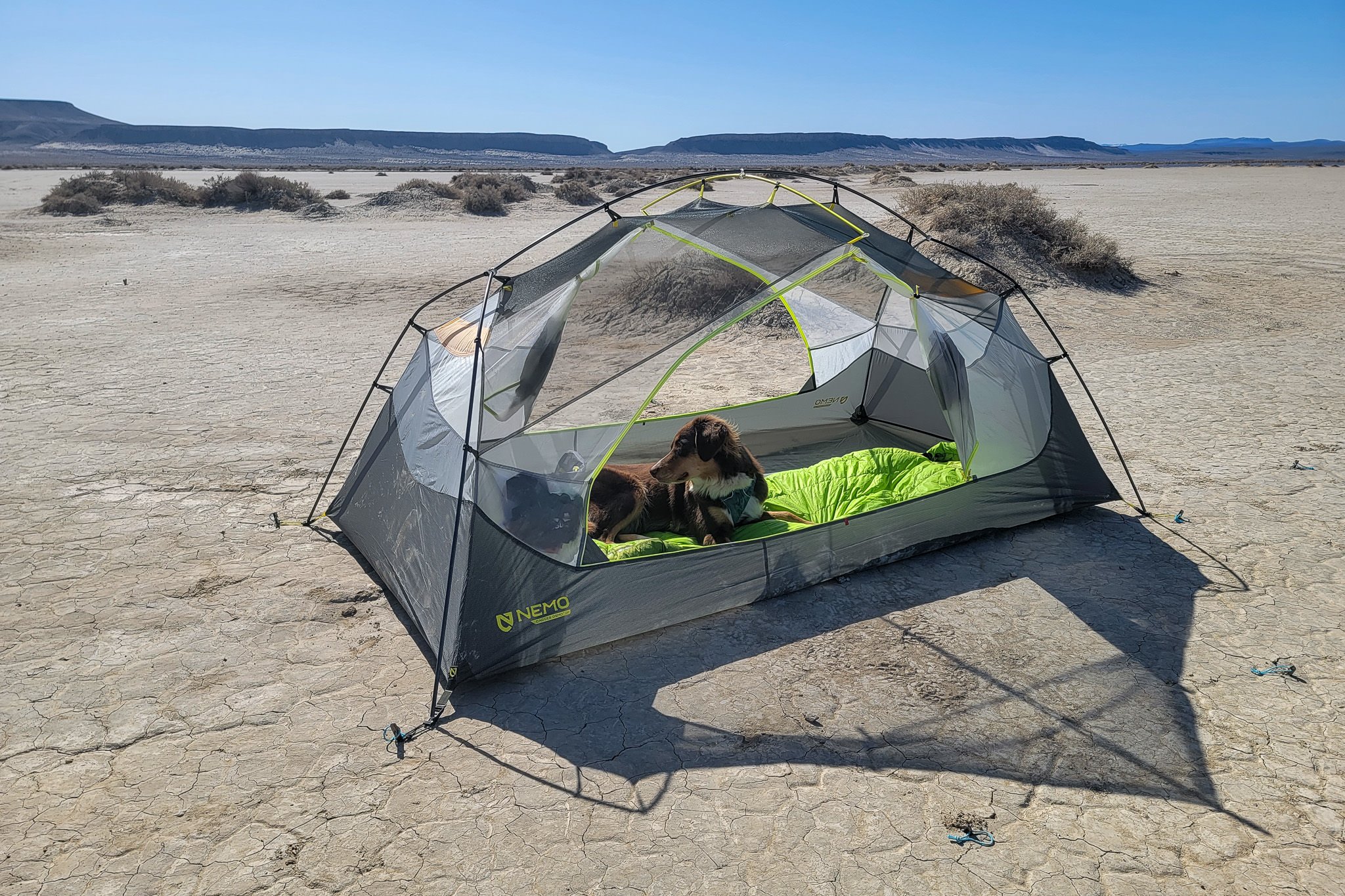 NEMO Dagger OSMO 2 tent set up in the desert with the rainfly off and the doors open and a dog inside