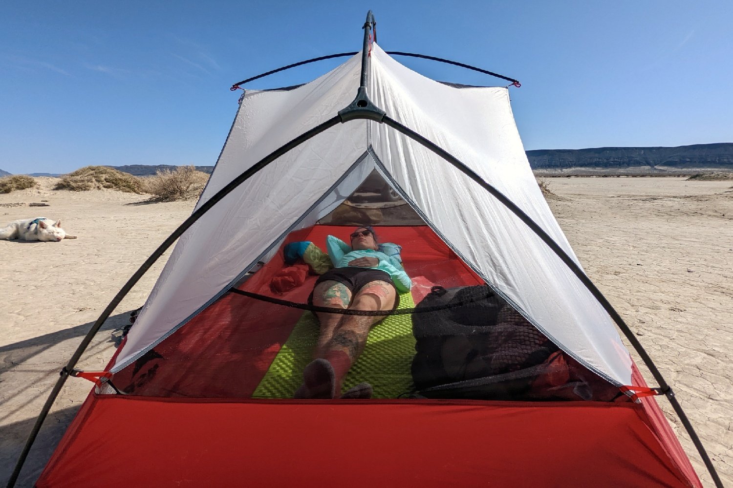 Looking through the triangular mesh windows at the head and foot of the MSR Hubba Hubba 2 tent