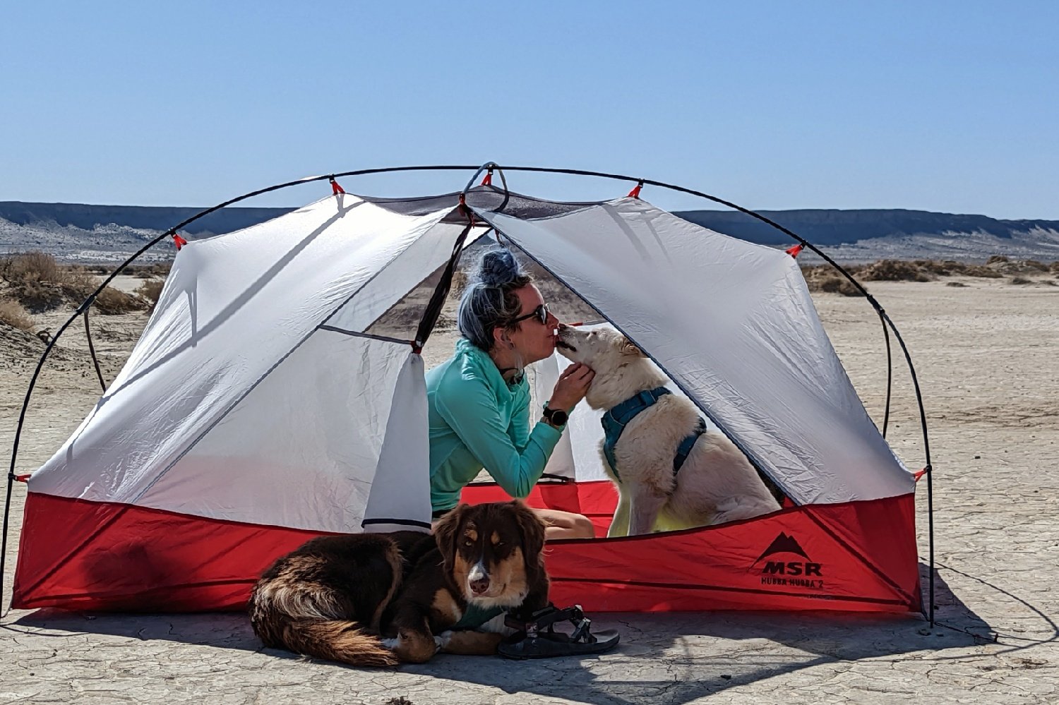 A person sitting inside the MSR Hubba Hubba 2 Tent with a dog