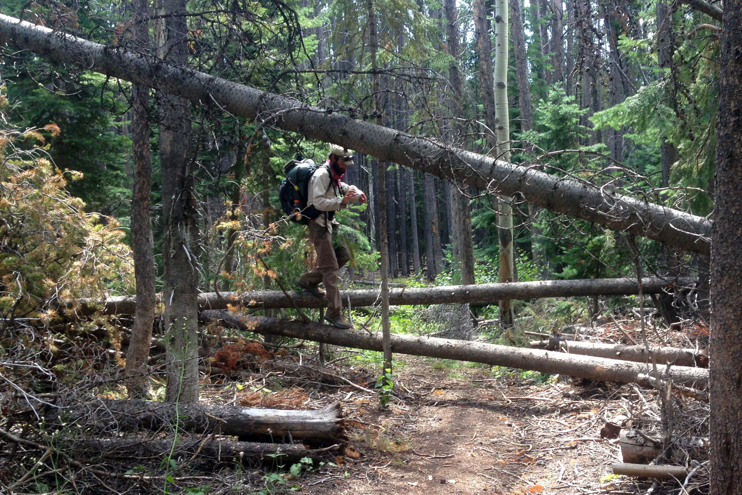 Downed trees, creek crossings, boulder hopping, steep grades - no problem!