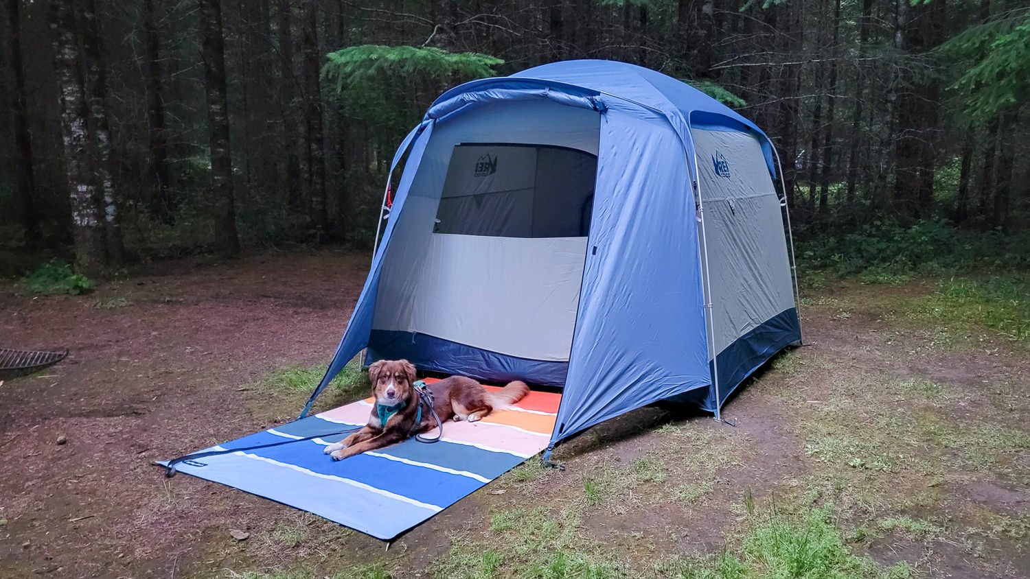 REI Skyward Tent Review