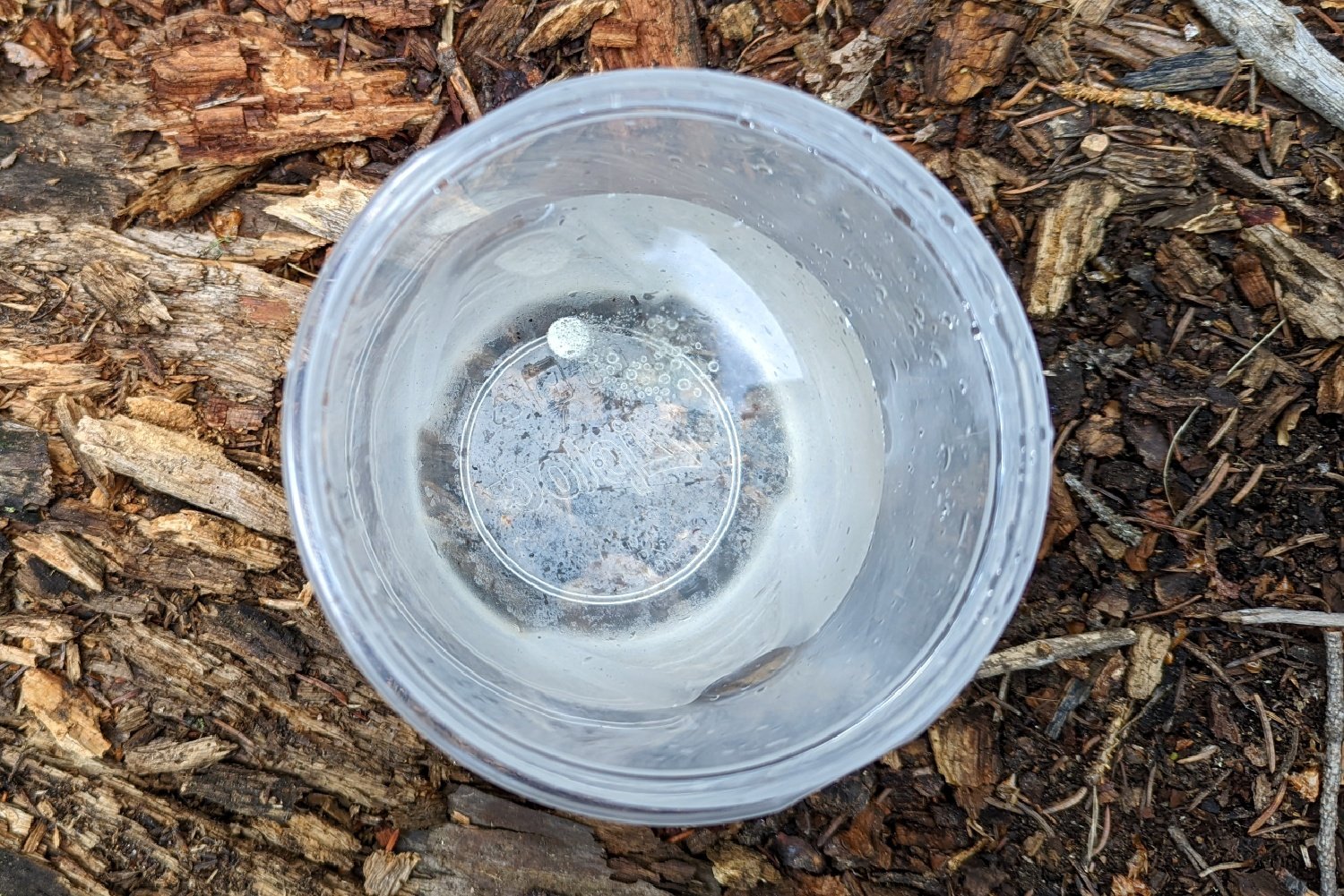 A Katadyn Micropur tab dissolving in a cup of water