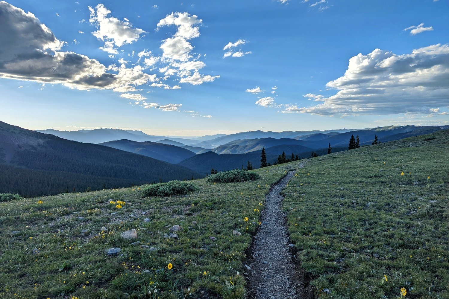 A trail cutting through an alpine meadow with layers of mountains in the distance