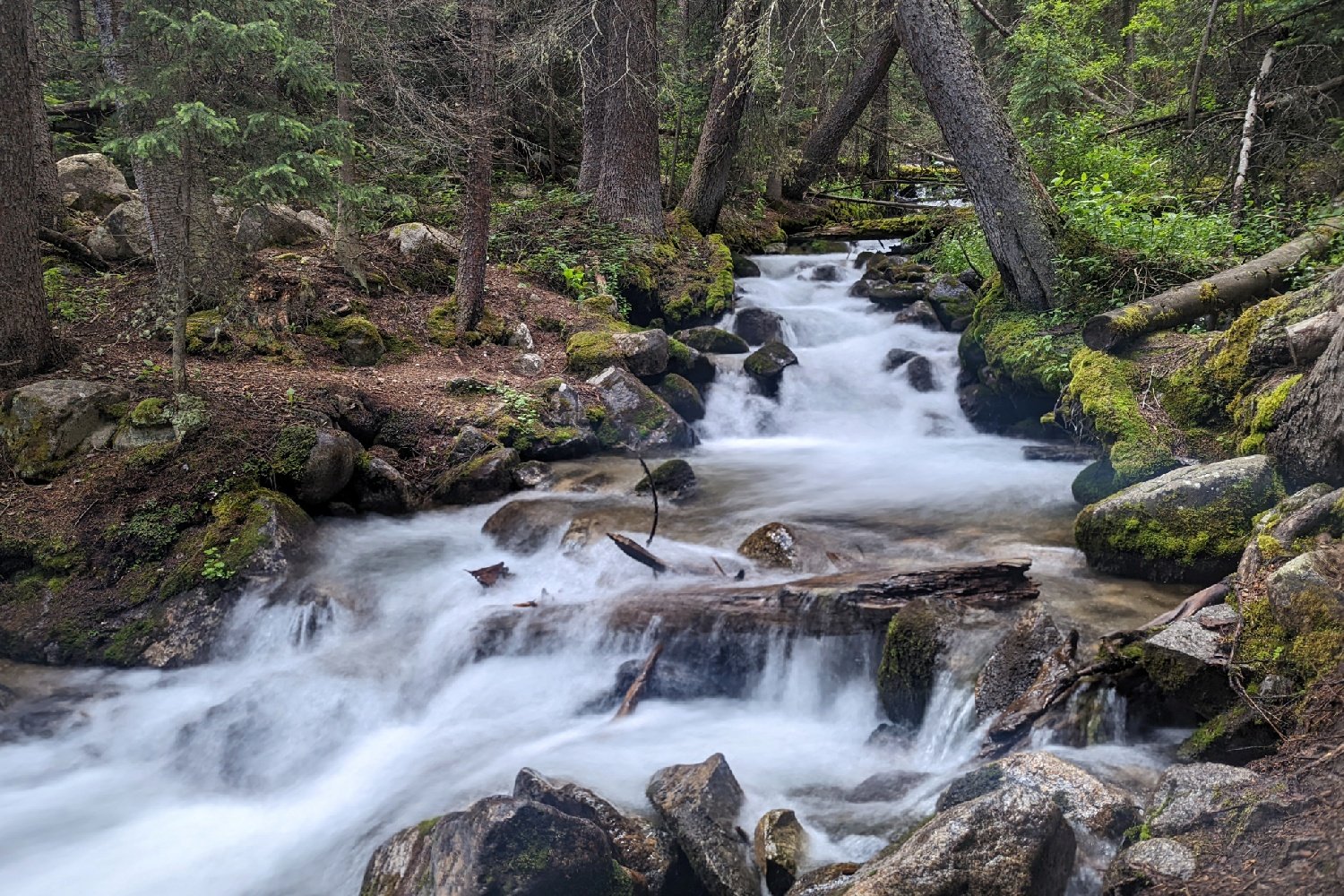 A cascade of water cutting through a forest