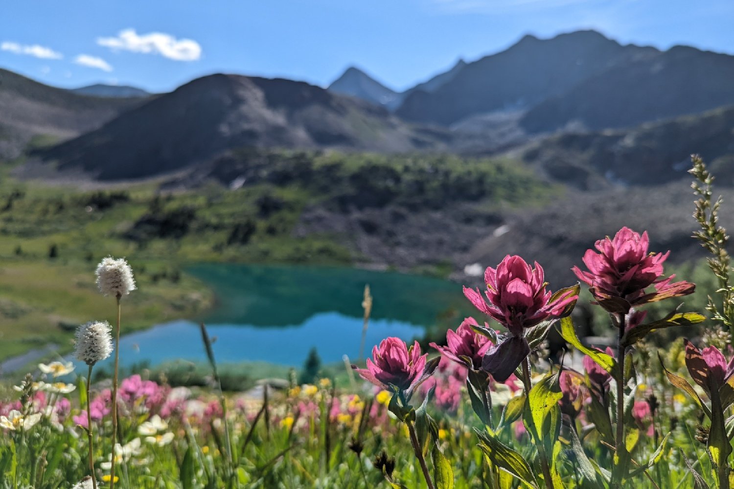 Wildflowers in the foreground and Lake Ann in the background on the Colorado Trail