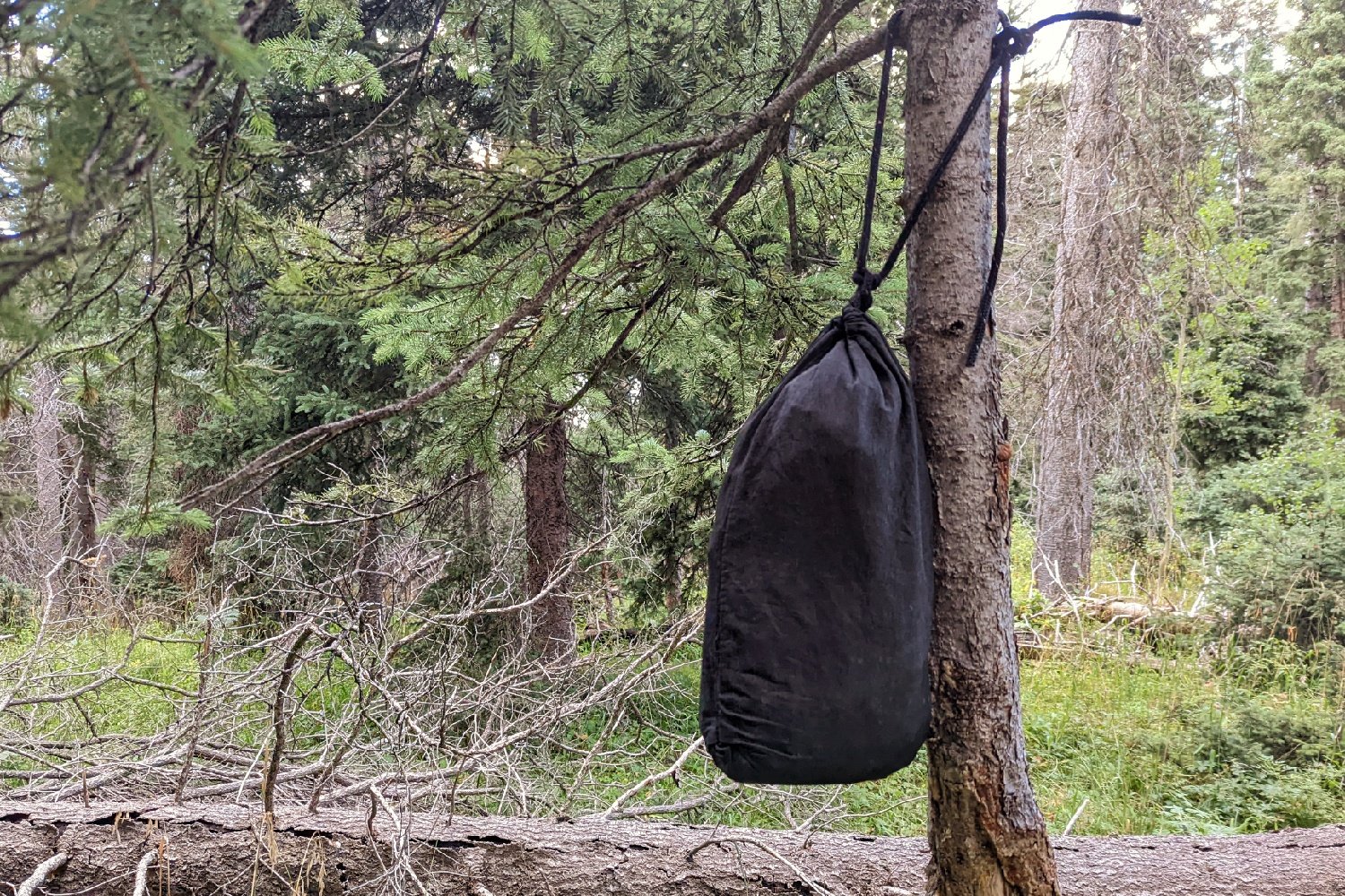 An Ursack tied to a tree