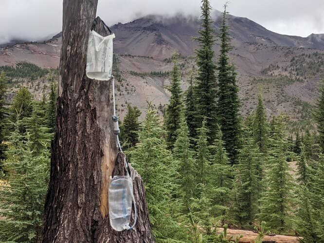 The Platypus GravityWorks Water Filter hanging on a tree on a backpacking trip in Oregon