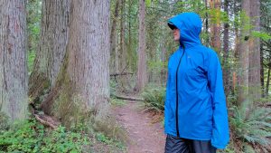 a hiker with their hood up in a forest in the rain.
