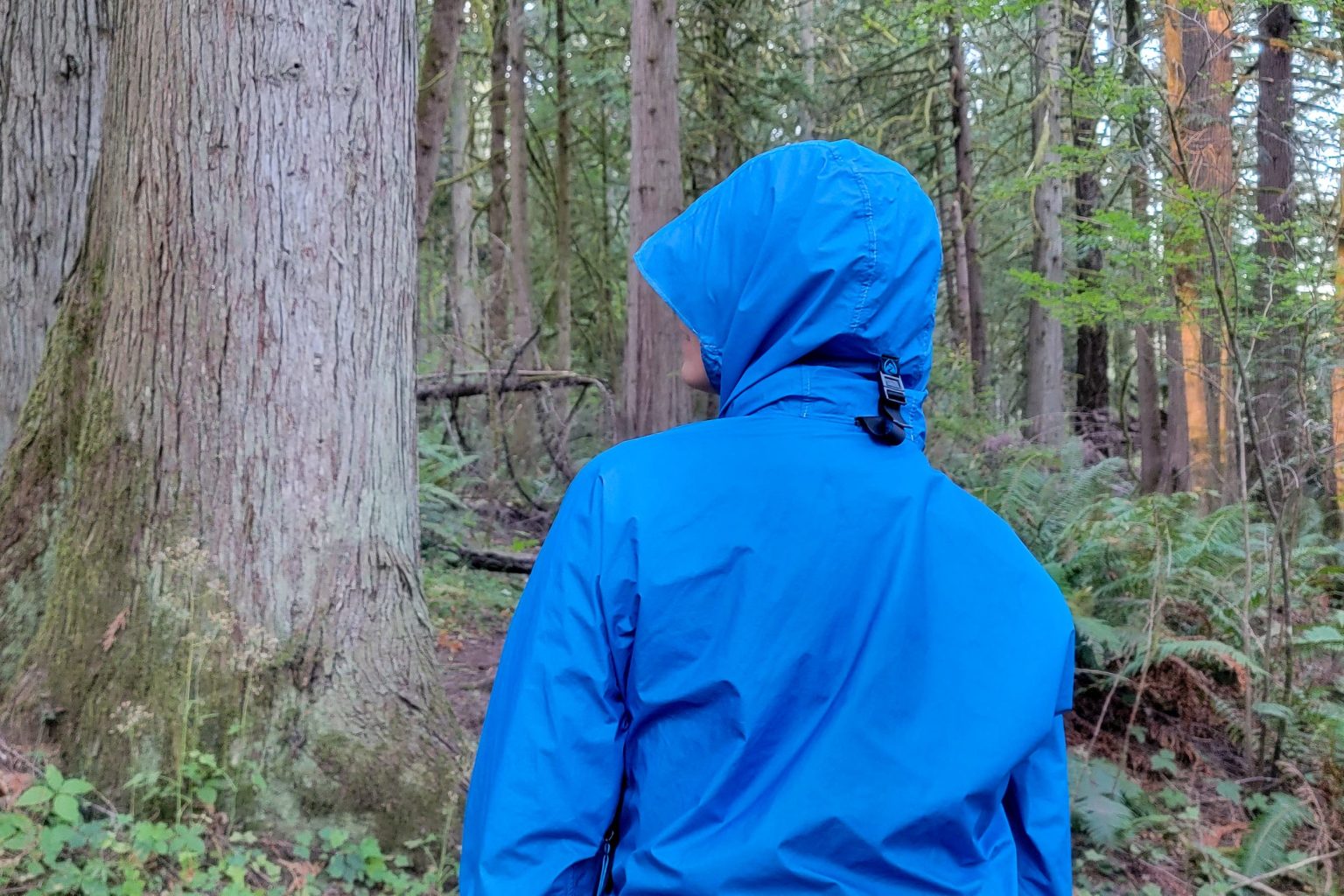 Zpacks Vertice Rain Jacket Review CleverHiker