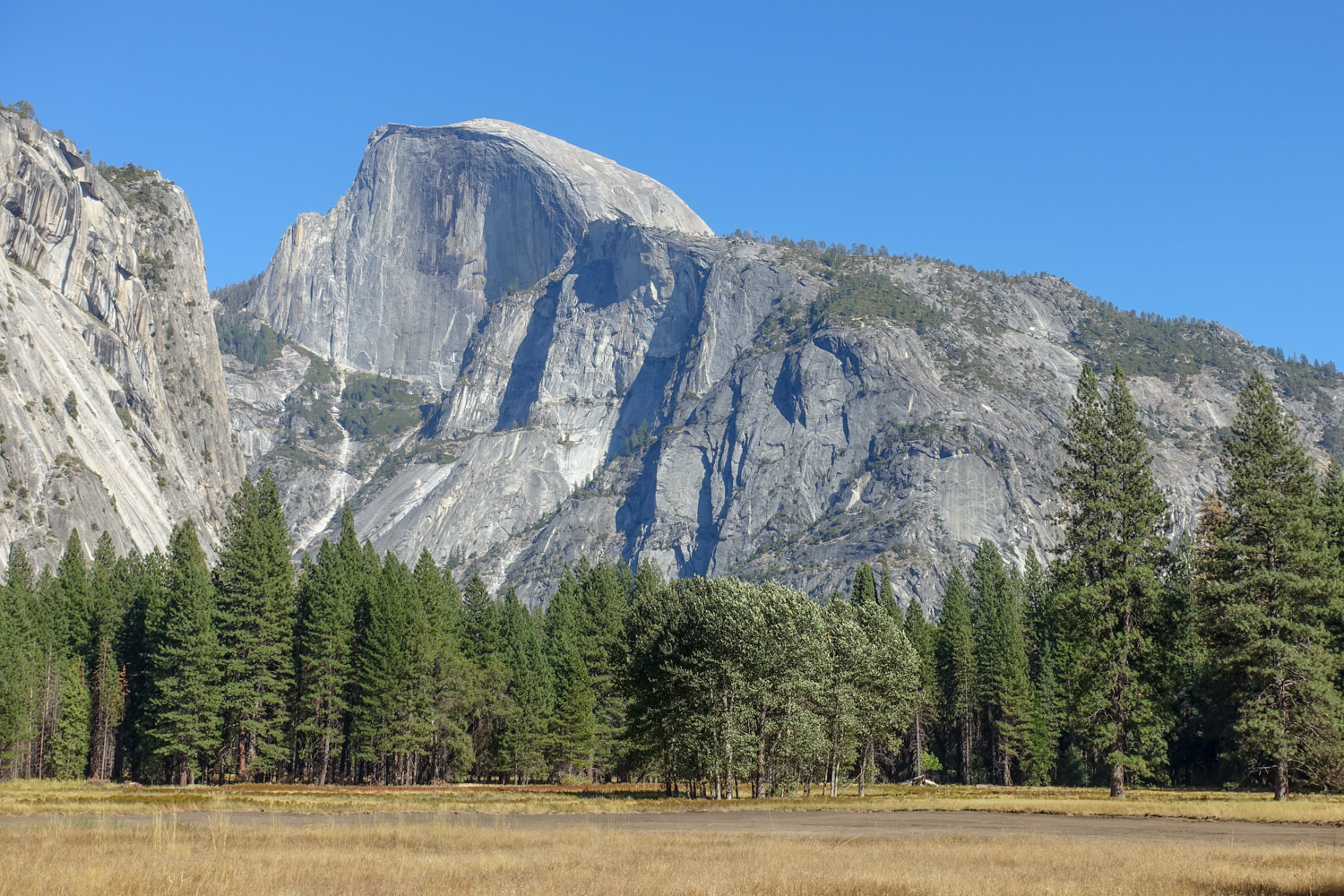 meadow and trees below Yosemite's granite wall named Half Dome. 