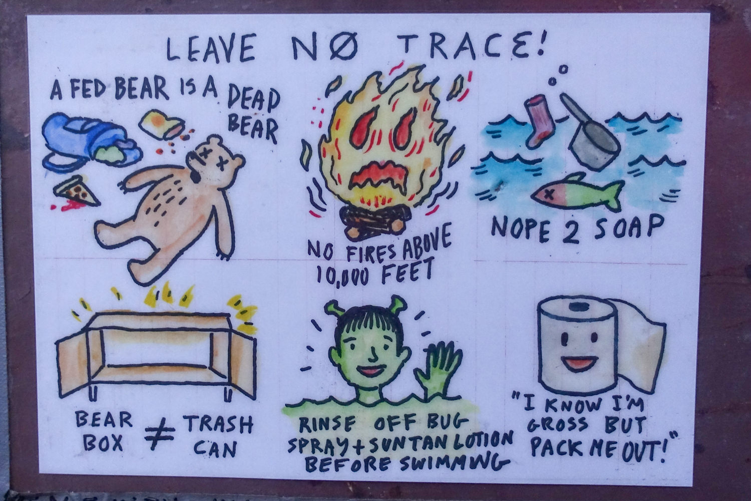 A handmade sign showing drawn pictures to emphasize how to leave no trace while backpacking on the John Muir Trail. Image shows "a fed bear is a dead bear" "nope to soap" "bear box is not a trash can" "no fires above 10000ft" "rinse off bugspray and sunscreen before entering a lake" and an image of a cartoon toilet paper roll saying "i know I am gross, but pack me out" 
