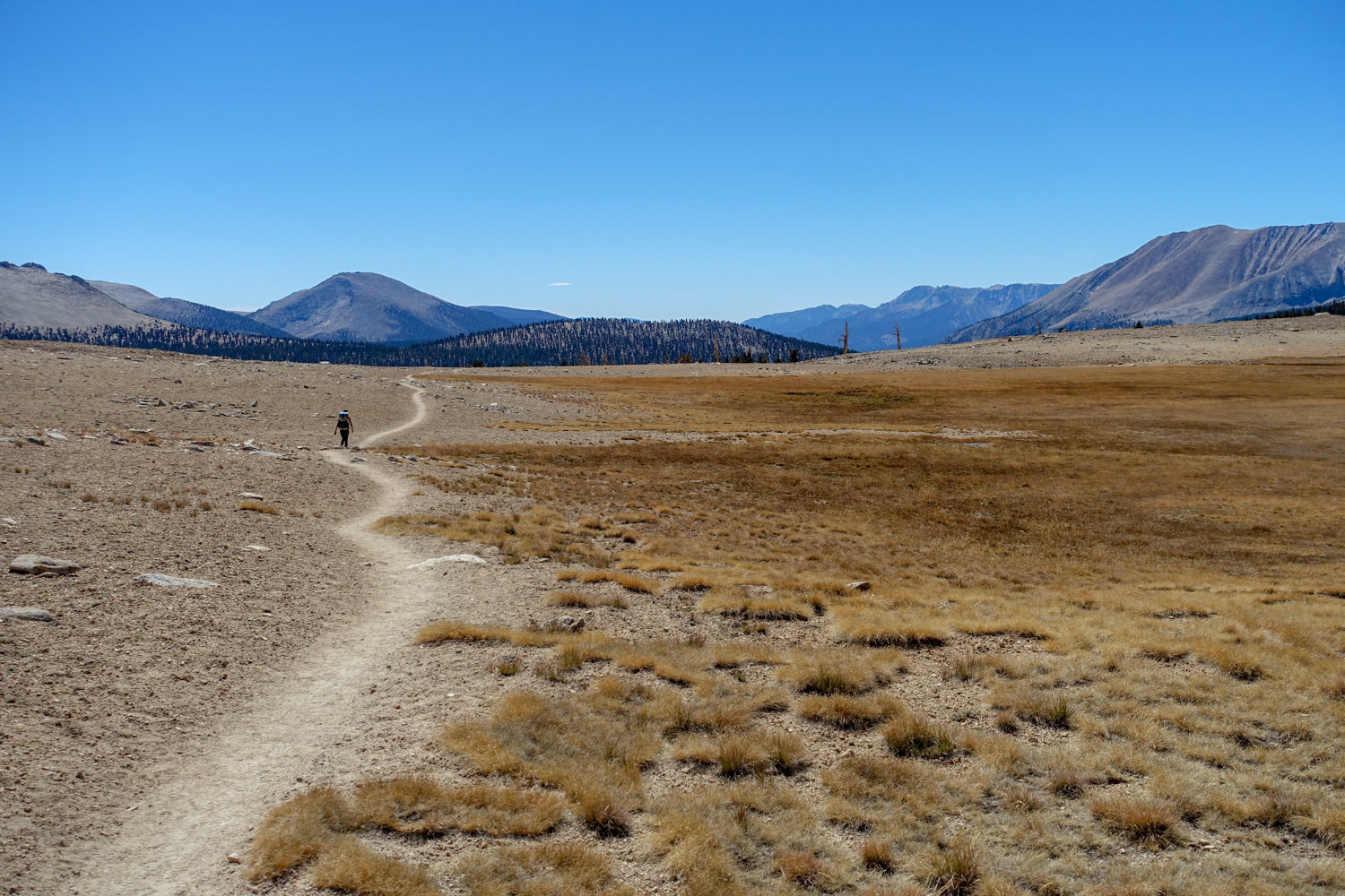A JMT backpacker on the trail in a high sierra basin on a sunny day. 