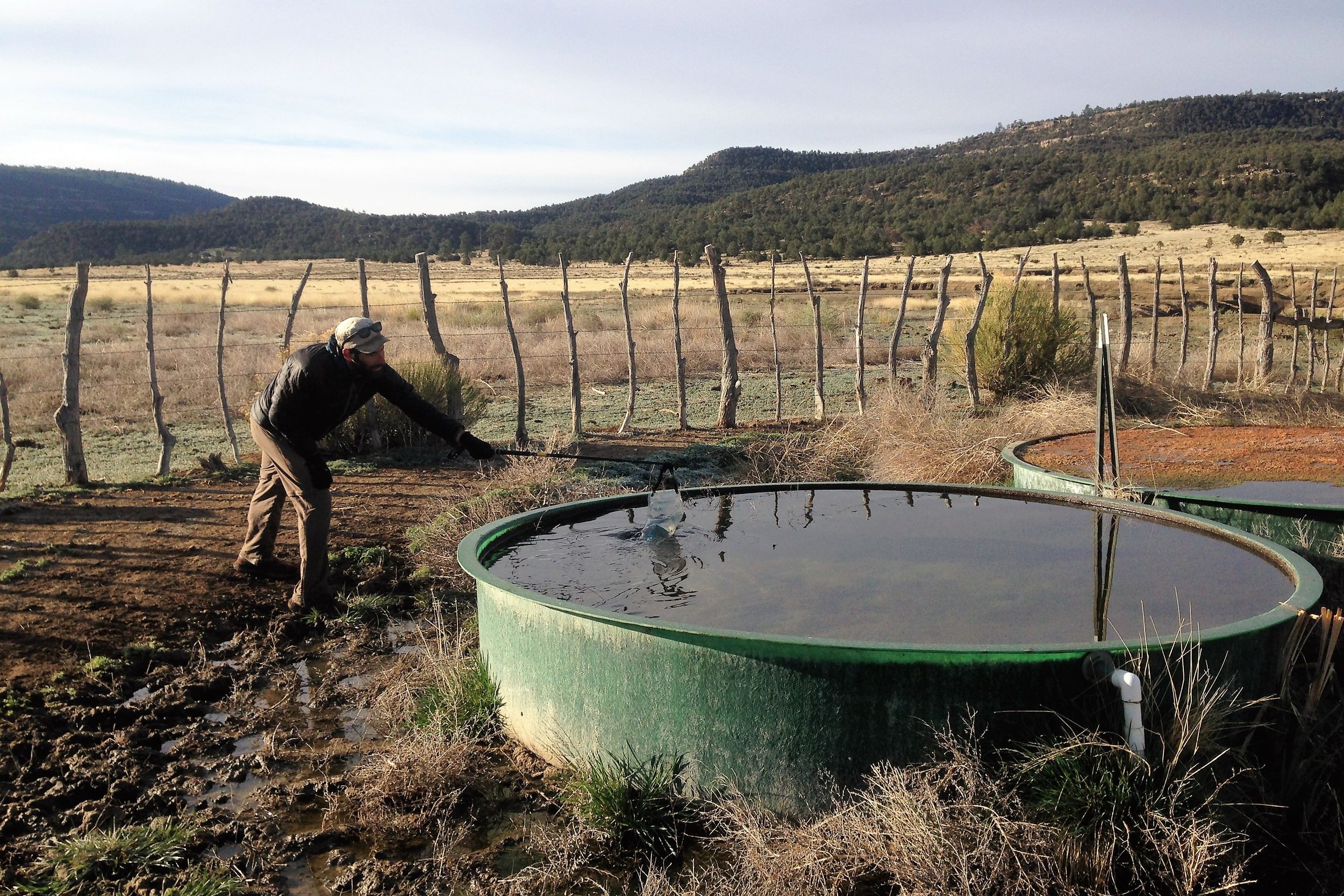 A hiker gathering water from a livestock tank with mountains in the background
