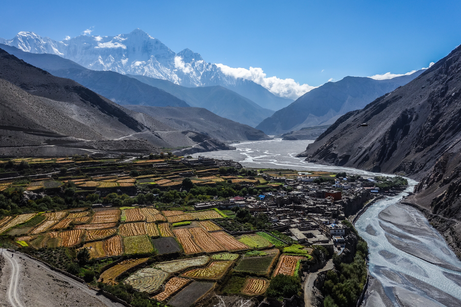 solo trek nepal