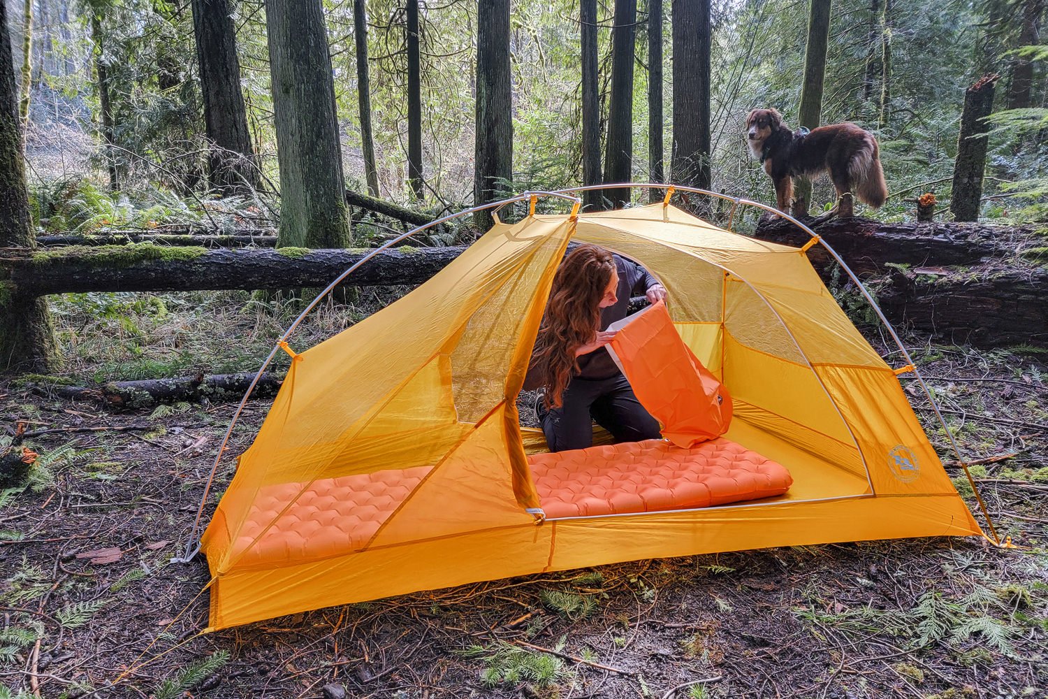 a backpacker inside their tent inflating their Big Agnes Zoom Ultralight sleeping pad with the pump sack in their hands to add air to the bag and then into the pad. A dog is in the background on a log in the forest.