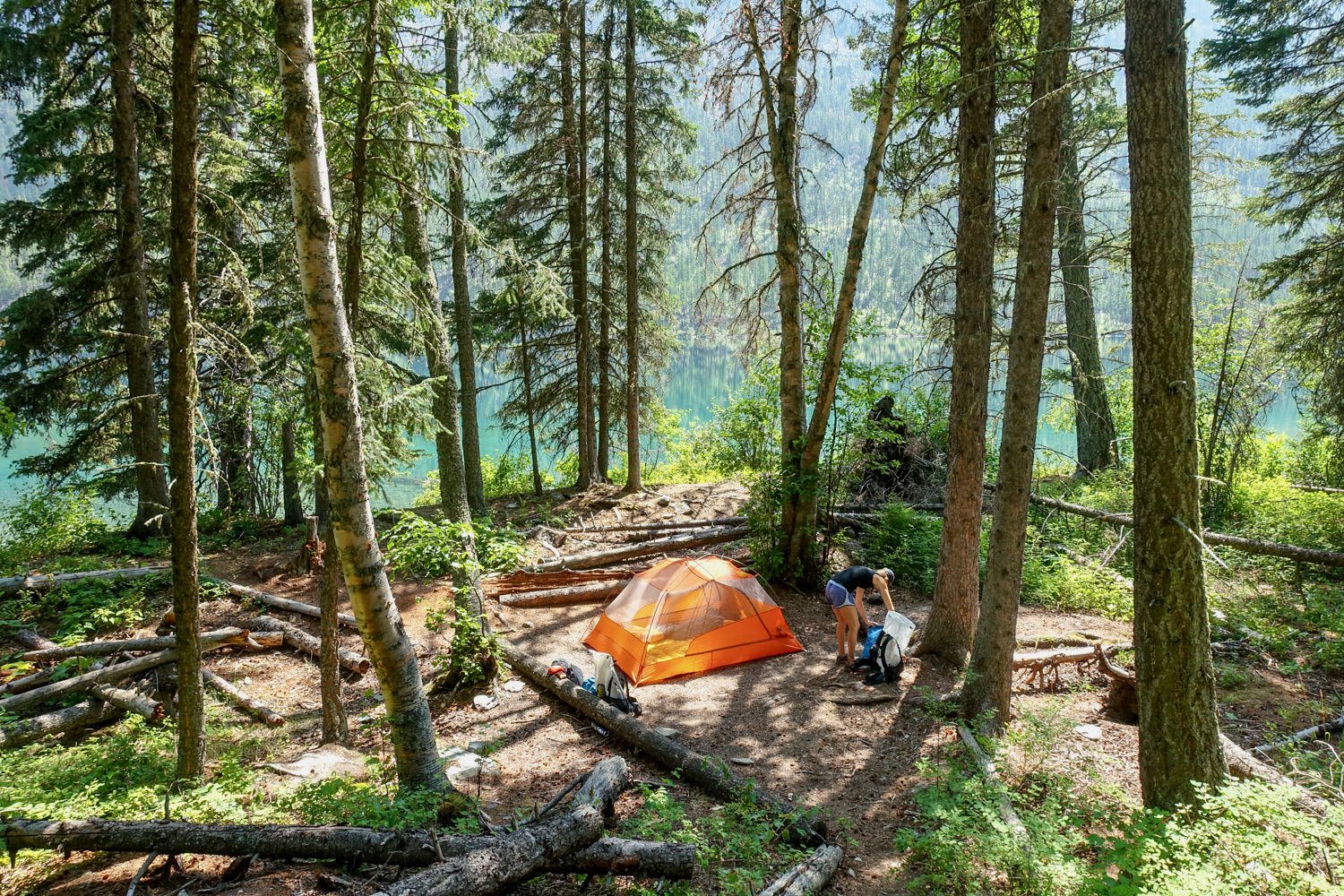 A wide view of a forest campsite with a Copper Spur HV UL3 set up and a hiker looking through their backpack