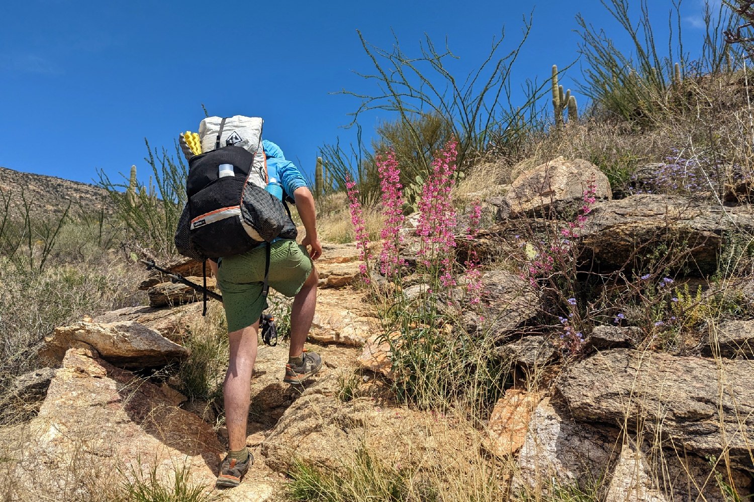 A hiker wearing the Hyperlite Mountain Gear Unbound 40 scrambling up some rocks on a desert trail with blooming flowers and cacti around him