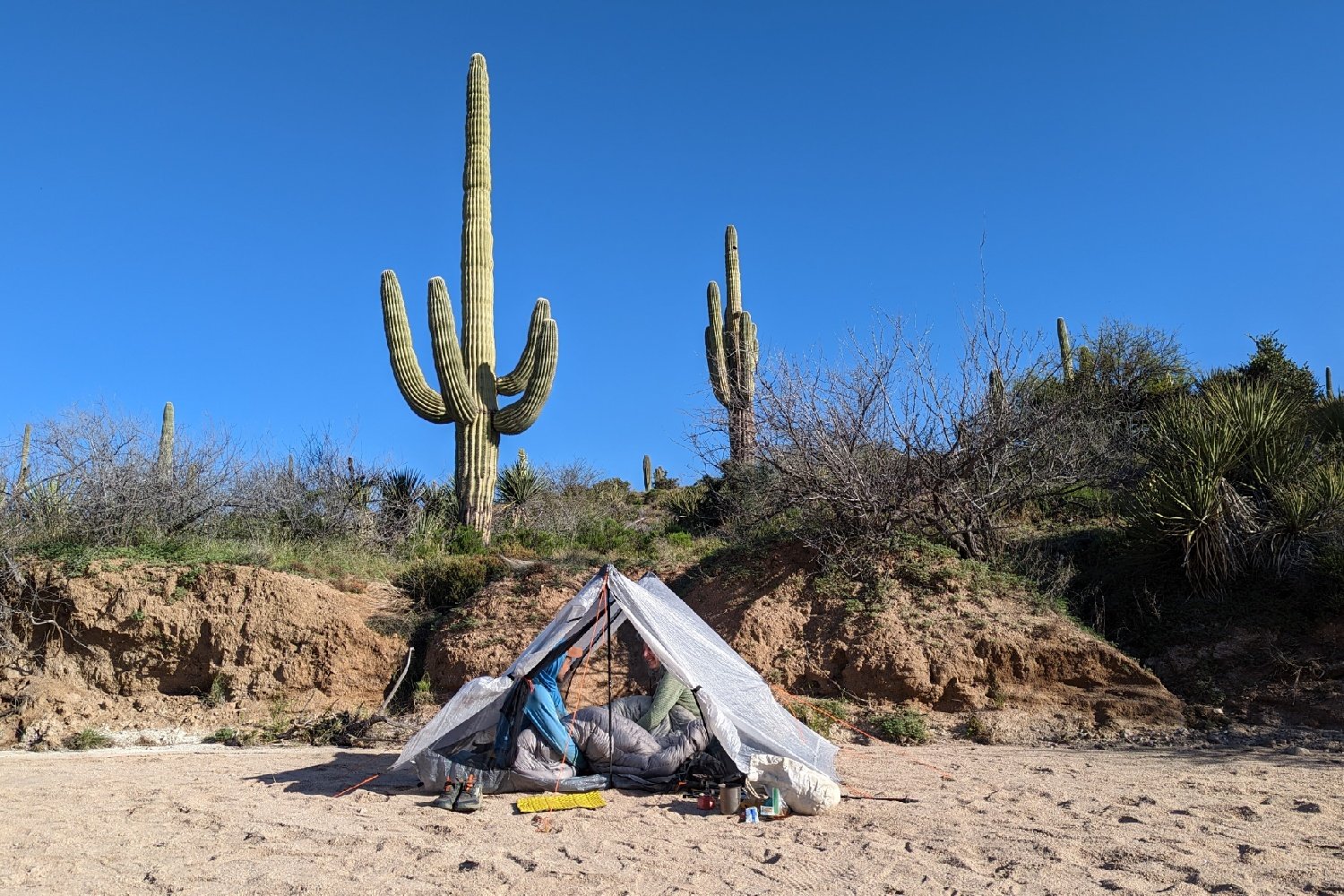 Two people sitting inside the HMG Unbound 2 tent in a desert campsite with two large saguaro cacti in the background