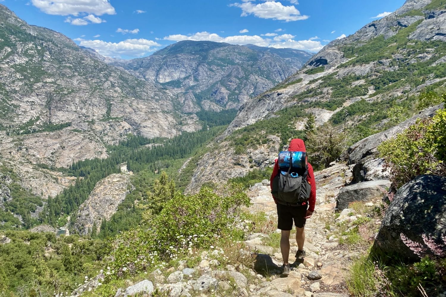 A hiker with a bear can strapped to their backpack walking down a mountain trail in Yosemite National Park