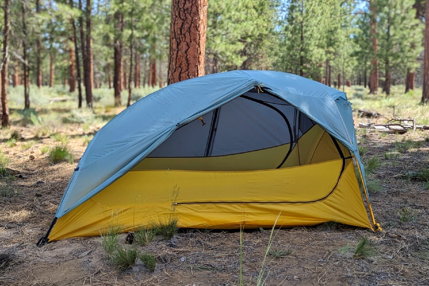 The REI Flash 2 Tent set up in a forest campsite with the rainfly on - both sides of the vestibule are rolled back