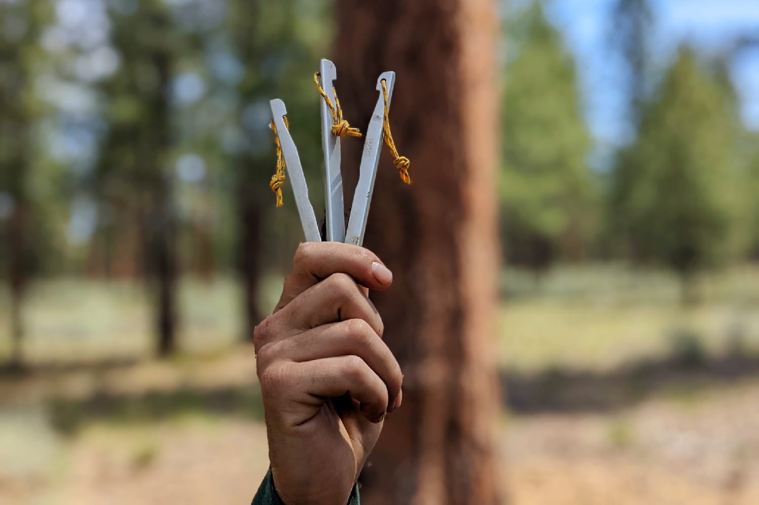 A hand holding up three tent stakes - there is a blurred forest view in the background