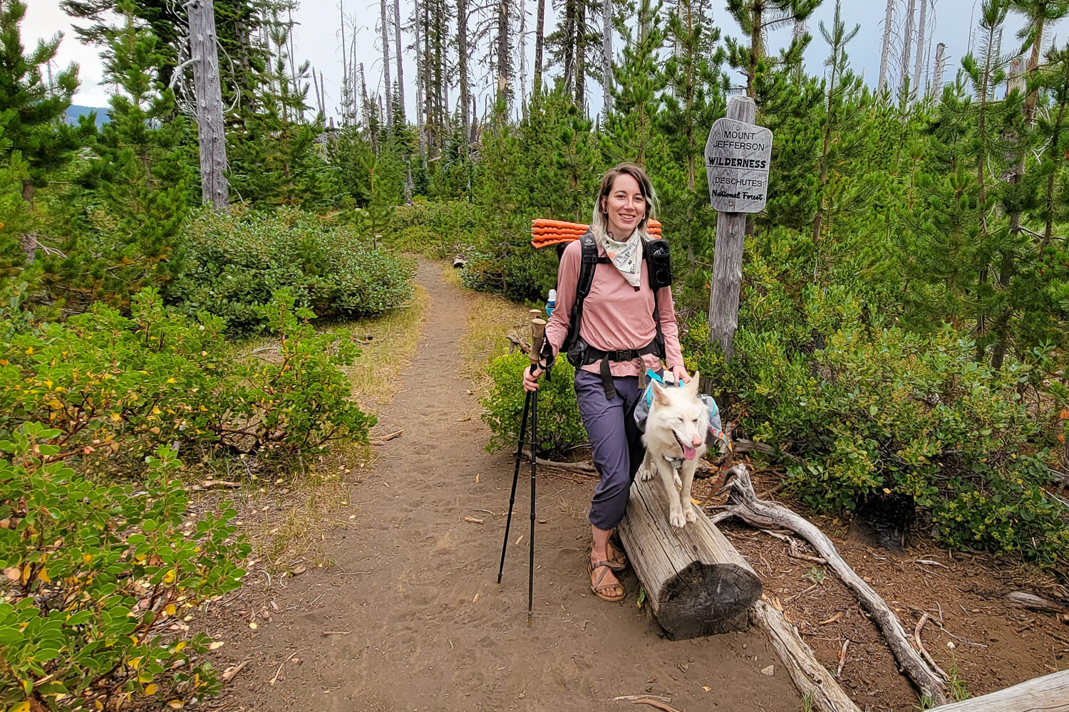 We own and trail-tested all of the dog backpacks we recommend